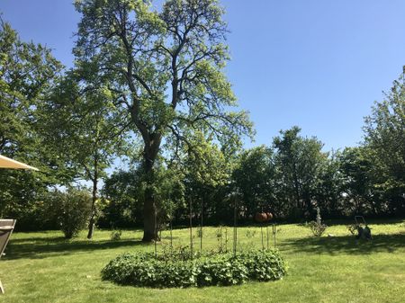 Simrishamnsvägen, Tommarp - Foto 5