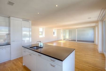 Living modern in an urban neighborhood with a large terrace and a view - Photo 4