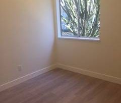 Stylish, refinished 1 bedroom Suite - Photo 2