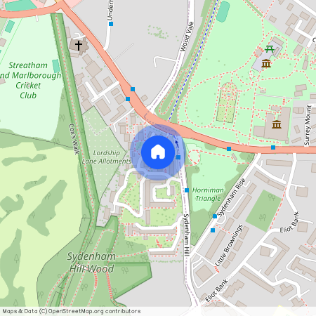Lapse Wood Walk London SE23