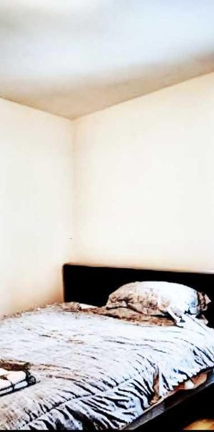 Grand 5 1/2 à louer - Photo 1