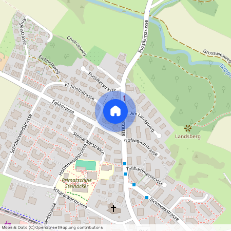 8330, Pfäffikon ZH, Russikerstrasse, 99