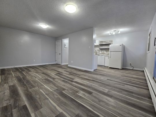 AMAZING FULLY RENO'D Apartment in Lacombe! CATS OK! - Photo 1