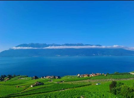 Bel appartement meublé de 3.5 pièces avec vue imprenable sur lac et montagnes - - Foto 4