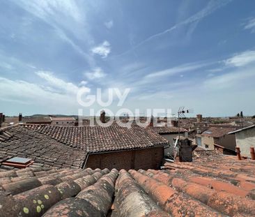 Appartement meublé Albi 3 pièces - Photo 2