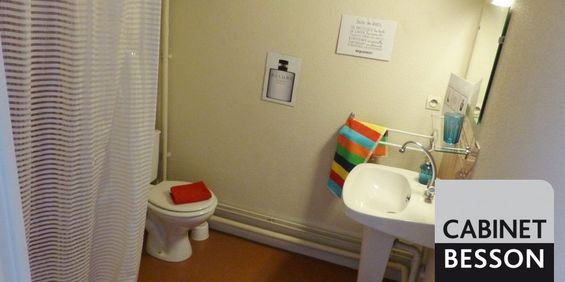 Location Appartement 1 pièce 17m² GRENOBLE 38000 - Photo 3