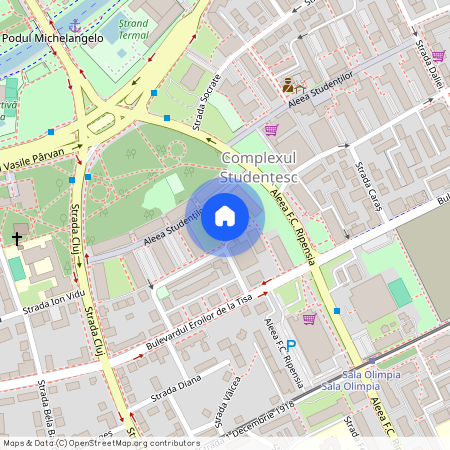 Timis, Timisoara