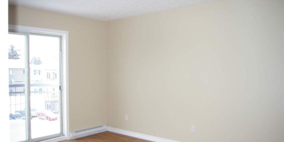 Rare - 3 Grandes Chambres + Bureau Fermé - Photo 3