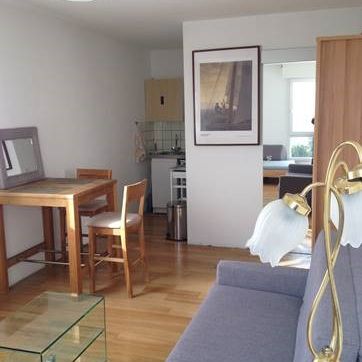 Location Appartement 24.78 M² SAINT-LOUIS 509 € - Photo 1