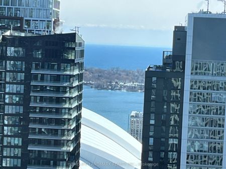 108 Peter Street #5005 - Photo 4