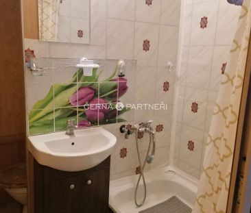Pronájem bytu 1+kk 31 m² - Fotografie 1
