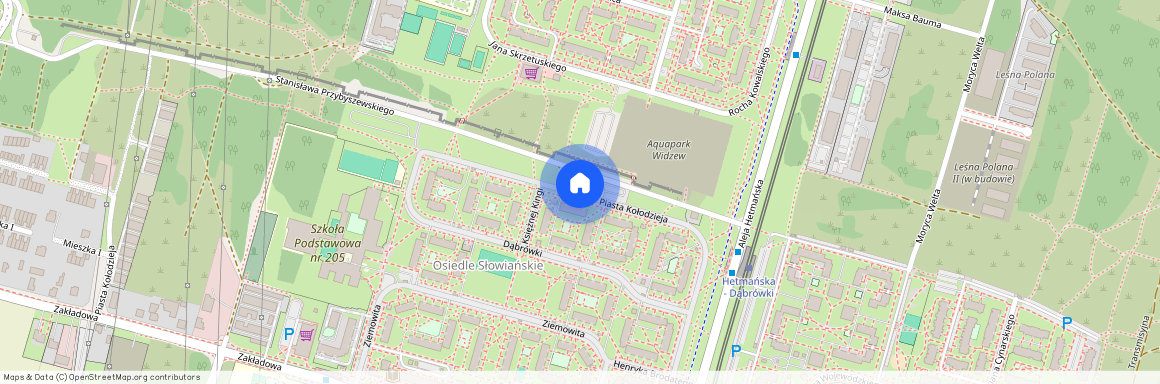 ul. Piasta Kołodzieja, Olechów, Widzew, Łódź, łódzkie