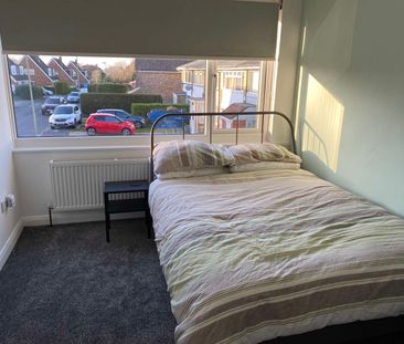 High quality refurbished en-suite rooms for professionals Room 2 - Photo 1