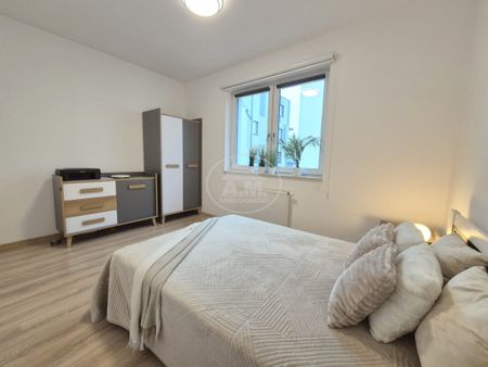 Garaż, Garderoba, 3M, Kabaczkowa - Zdjęcie 5