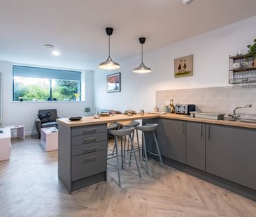 6 bed Apartment for Rent - Photo 5