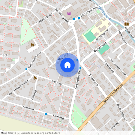 Flurweg 14, 3250 Lyss