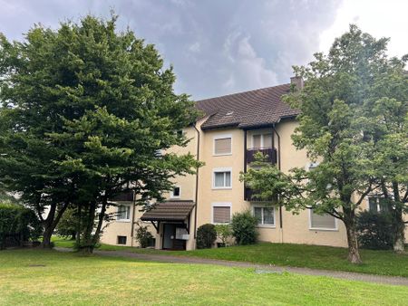 Charmante 2.5-Zimmer-Attika-Wohnung in Brüttisellen zu vermieten / ... - Foto 5