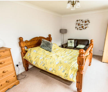 3 bedroom bungalow to rent Beverley Drive, Mansfield, NG18 - Photo 3