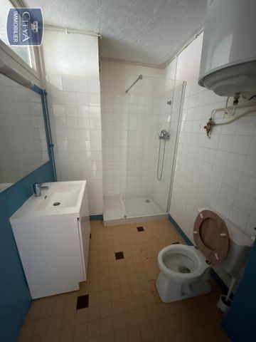 Location Appartement 1 pièce 41m² GRENOBLE 38100 - Photo 4