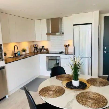 Luxury Downtown FURNISHED 1 bed Condo at Brooklyn – 3 month lease or longer - Photo 1