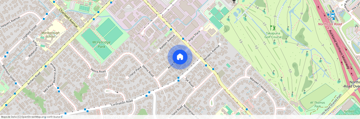 8A Anne Road, Hillcrest, NZ 0627