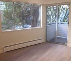 Fully Updated, Modernized Airy 2 br. #3 - Photo 1