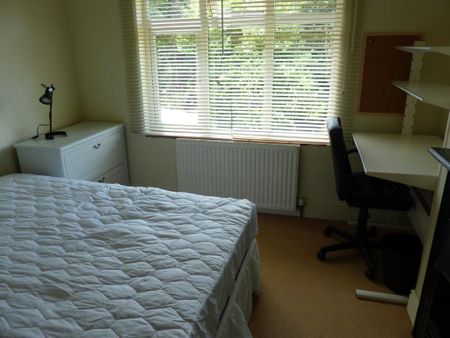 110 Bournbrook Road - Photo 3