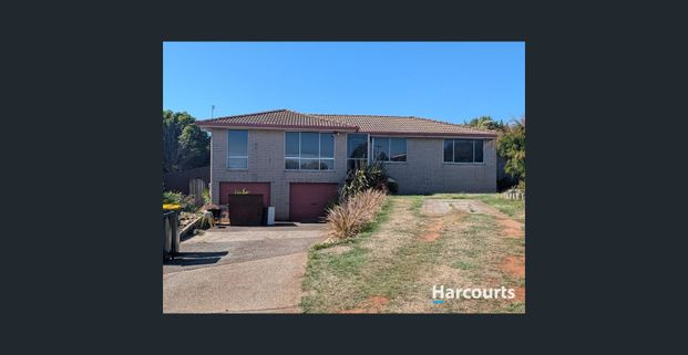 Spacious House - Photo 1