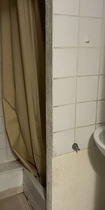 Location Appartement 1 pièce 24m² - Photo 3