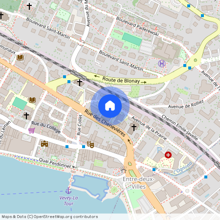 Rue des Chenevières 16, 1800 Vevey