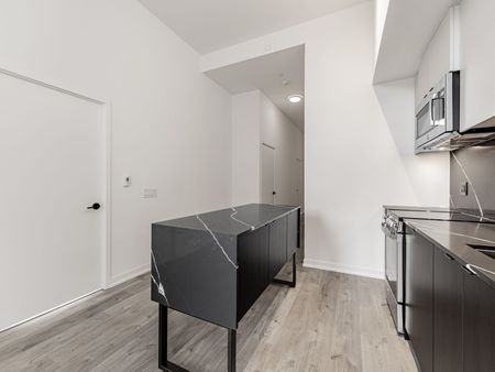 For Lease - 285 Dufferin Street Unit# 706, Toronto, Ontario - Photo 2