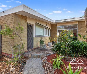 SINGLE LEVEL 70'S INSPIRED, SPACIOUS 3 BEDROOM HOME - Photo 3