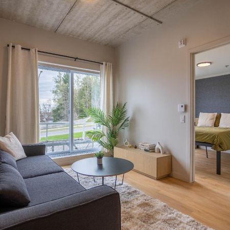 3 1/2 APPARTEMENT MEUBLÉ À LOUER - Photo 3