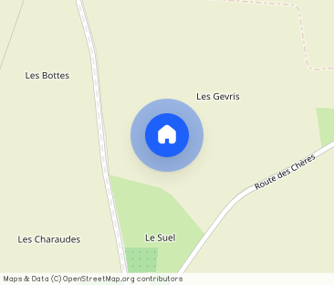 61 ROUTE NATIONALE 69380 LES CHERES - Photo 1