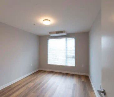 The Bovill — 2 bed + flex + 2 bath - Photo 3