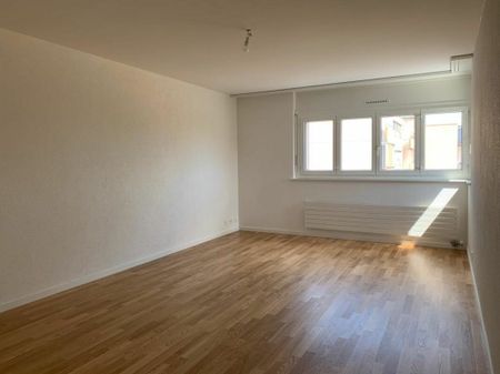 Bel appartement de 2 pièces entièrement rénové dans quartier calme ! - Foto 2