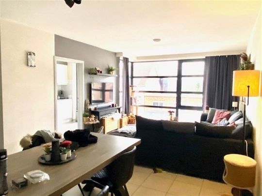 Antwerpsesteenweg 294, 2390, Oostmalle - Foto 1