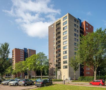 Wittgensteinlaan 169 - Foto 4