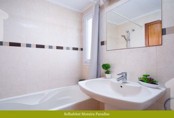 Paradise WINTER OFFER