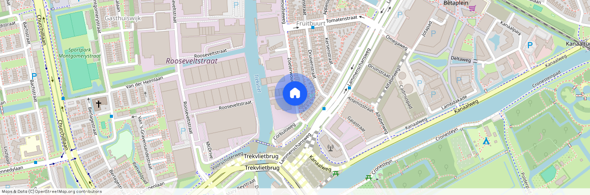 Cronestein, 2321 GS, Zoeterwoudseweg, Leiden