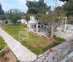 Μονοκατοικία για ενοικίαση - Ανάβυσσος, - Photo 5