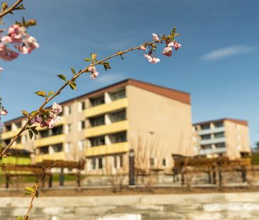 Sibeliusgatan 10 B - Foto 4