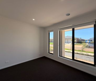 Brand New Family Living - Photo 4