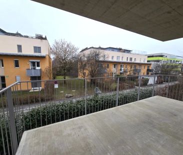 Gefördete 3 Zimmer Wohnung mit Balkon in zentraler Lage - Harter St... - Foto 6