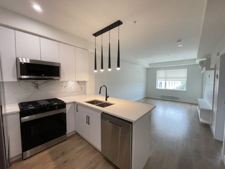 Douglas Green Living Brand New 1 Bed 1 Bath Condo - Photo 5