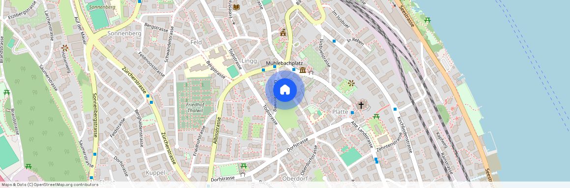 Wiesenstrasse 12, 8800 Thalwil