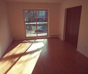 ✨ Très beau 4½ lumineux – Disponible dès le 1er janvier 2026 ! ✨ - Photo 1