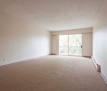 Holly Tree Apartments - 1 Bedroom - Photo 2