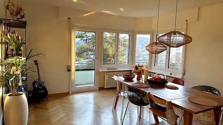 4 Zimmer-Wohnung in Zürich - Kreis 10 Wipkingen, möbliert, auf Zeit - Foto 5