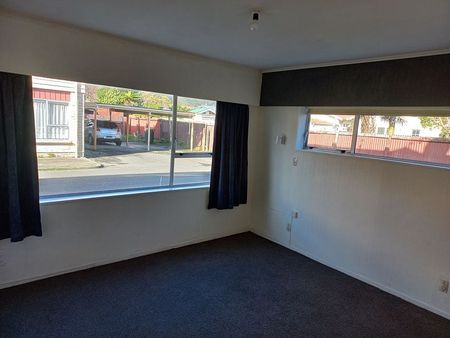 Chic 2BR Apartment in Hutt Central - Photo 4